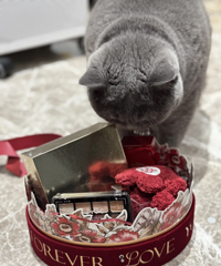 �����ҵİ����񣡶��Ǿ���ϸѡ�ĺö���