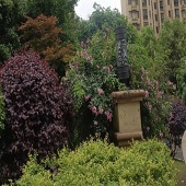 ������Ȼ��������