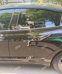 ���Ǳ�����������𣿳������������汻������ô���Ĺᴩ���ۡ�