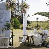 ����ɭϵ�Ĳ�ƺ����