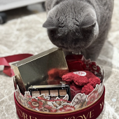 �����ҵİ�����