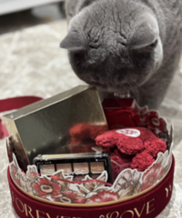 �����ҵİ����񣡶��Ǿ���ϸѡ�ĺö���