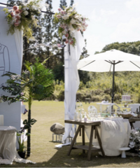 ����ɭϵ�Ĳ�ƺ���񣡺�������