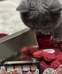 ������ʲôʱ������ɰ���ȽϺ��ʣ�