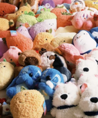 �ҵĻ����������ޣ�û��һ����ģ�