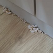 �����ﳤĢ���ˣ�