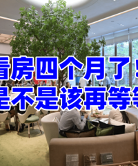 �����ĸ��£����ǲ��Ǹ��ٵȵȰ���