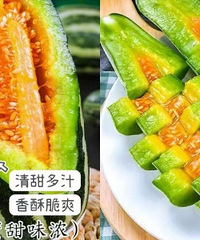 2025��ͷ�粩��9���۹�����������ˬ��