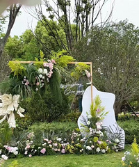 ������ܰ�����Խ��Խ������˰��ƺ������