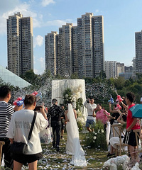 �к��вݵ������������ֵĲ�ƺ�������շǳ��ã�