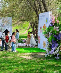 4.5���ǲ�ƺ������õļ�����