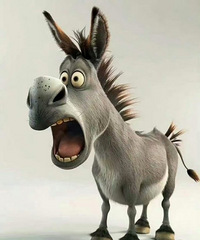 С���Ӳ���Ȱ ��ʱ���һ���� ��ô����ô�� ����������