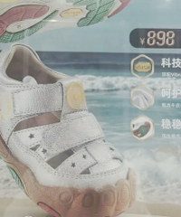 ̩����˹�۸�Խ��Խ���ˣ�һ˫Ь799