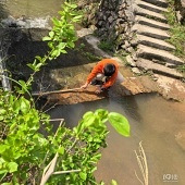 ��̫���� ����������