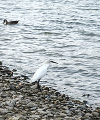 ������ȥ���������� ר��˵Ҫ���˶� ��ѧУ��ҵ��Ҫ������