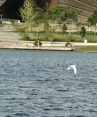 �˶�or��ҵ�ľ���