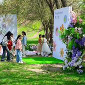 ���ʺϲ�ƺ����ļ���