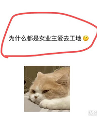 为什么都是女业主爱去工地?感觉我去施工现场,看到的都是...