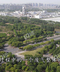 ���ǰ��ڲ��߽��𲽹�ͣ�����˶�벢�������Ǳ��������⣡