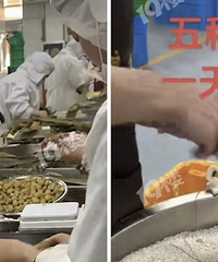 ���罫�� ���ٴ����ֿ�ʼ�ˣ�