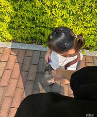 �����С���������Լ��棡�糿������ �������Ҳ��