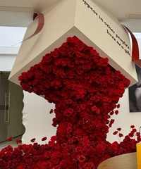 ��һ�ɴ��Ӱ�������е�ÿ���