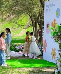 ���ʺϲ�ƺ����ļ���������