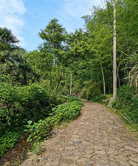 ÷��ŵ������ݣ���ȫ���ԣ�ȫ�̴�Լ5���� ����СϪ���