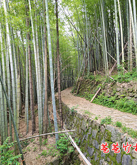 ÷��ŵ������ݣ���ȫ���ԣ�ȫ�̴�Լ5���� ����СϪ���