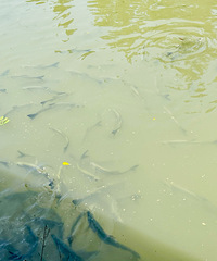 ���Ӷ�����һ������¥��ˣ���ҿ�̫����������