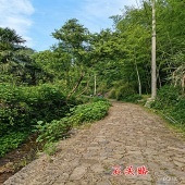 ÷��ŵ���ϸ����