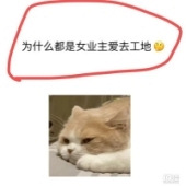 Ϊɶ����Ůҵ��ȥ�أ�