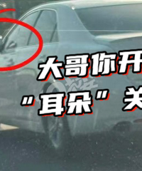 �����˲������Ӿ��İ�������