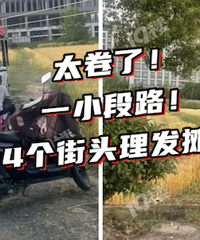 �������������ô�����𣿣�