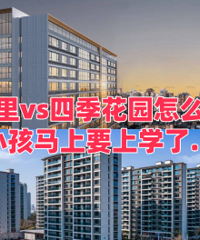 ������vs�ļ���԰ ѡ�ĸ���