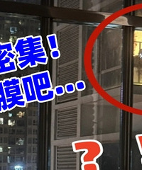 �߲�¥���ܼ�������Ĥ�������ϰɣ�