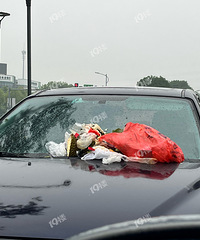 ����ͣ�� �ͱ���Ҳ���������