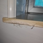 ���ש�ǲ��Ǽٵģ�