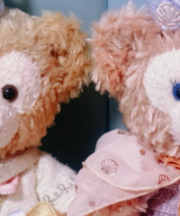 �����е�top1��ѹ�����޷������ɣ�