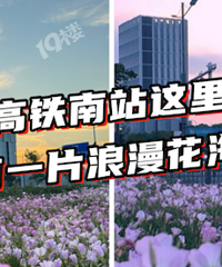 ���Ϻ����� ̫�ó�Ƭ�ˣ�