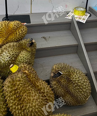 ��̣��������������ĺ�ʱ����