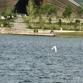 �˶�or��ҵ�ľ���