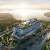 ����߾Ƶ궯����