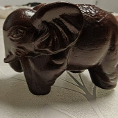 Ԣ�⸻���ľ�����