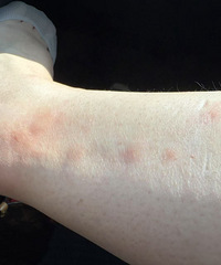 ҧ��һ����Ϳ�����������˲���ʲô���õıȽϺã�