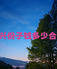 有没有嘉兴本地的姐妹?同事的婚礼份子钱要给多少?