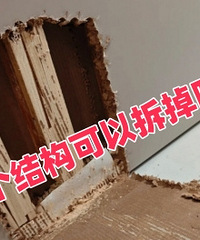 ���������ϸ�è������ ����ṹ��ô...