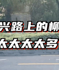 ������������̫���ˡ�