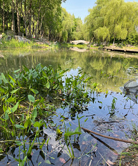 ��ĩֲ��԰����Ϻ���˱���Ϻ���࣡ר��ȥһ�˸о��ܲ����㰡��