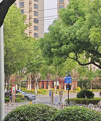 ����Сѧ���ߵĹ�԰ͣ����ƾʲôװ��բ�շѣ�֮ǰ�������ͣ�ģ�